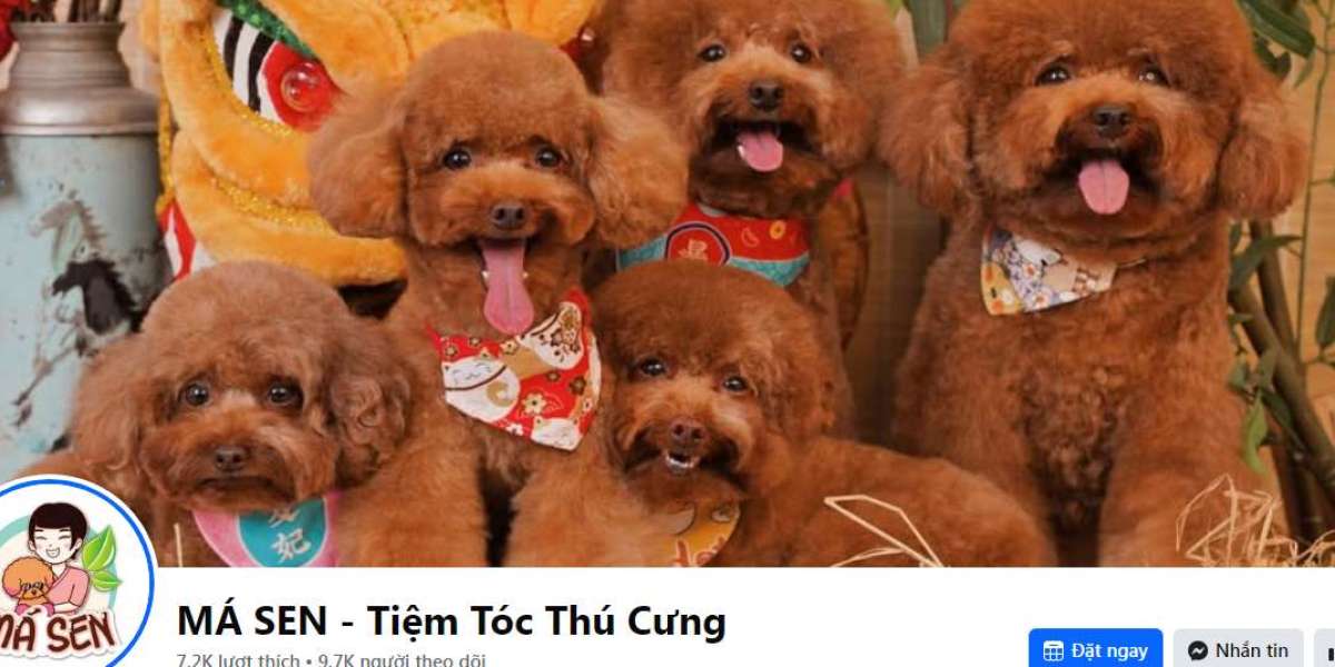 MÁ SEN - Tiệm Tóc Thú Cưng https://www.facebook.com/www.masen.vn