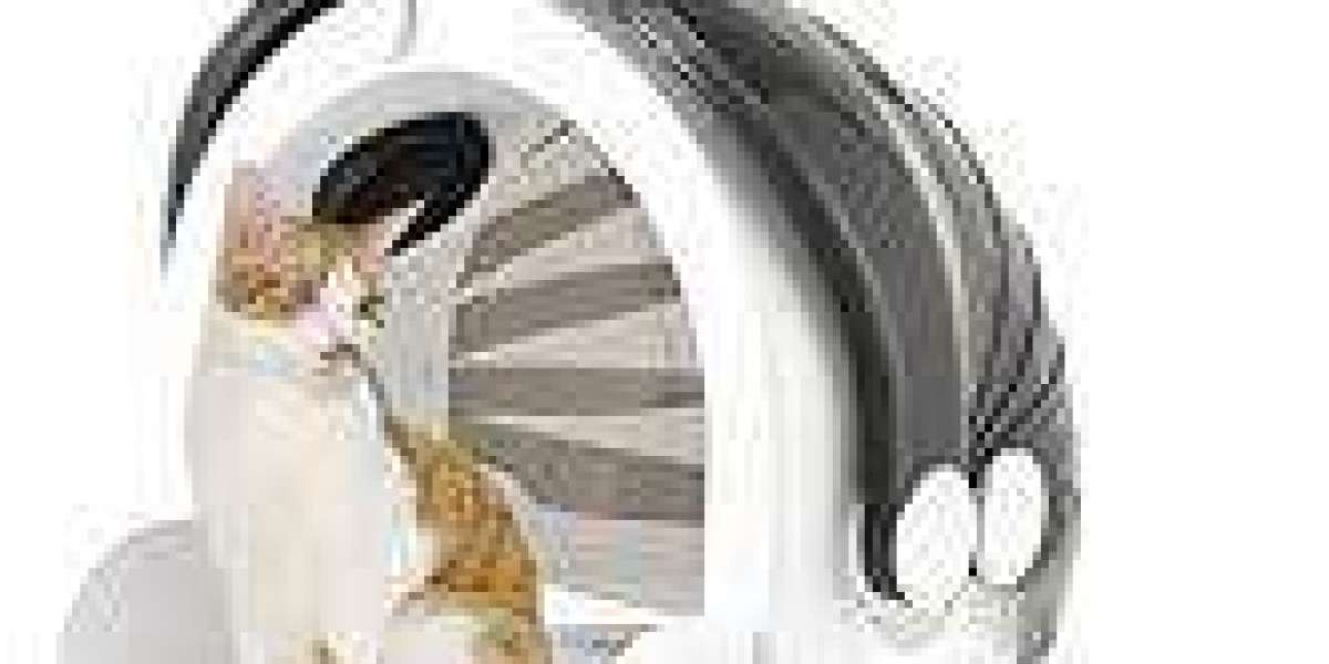 How Pawtechpet's Pet Dryer Works for Your Pet?