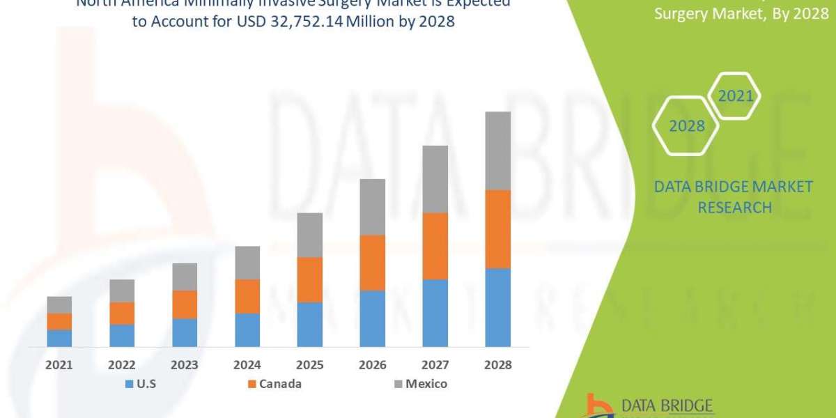 North America Minimally Invasive Market Market Size, Status and Outlook 2028