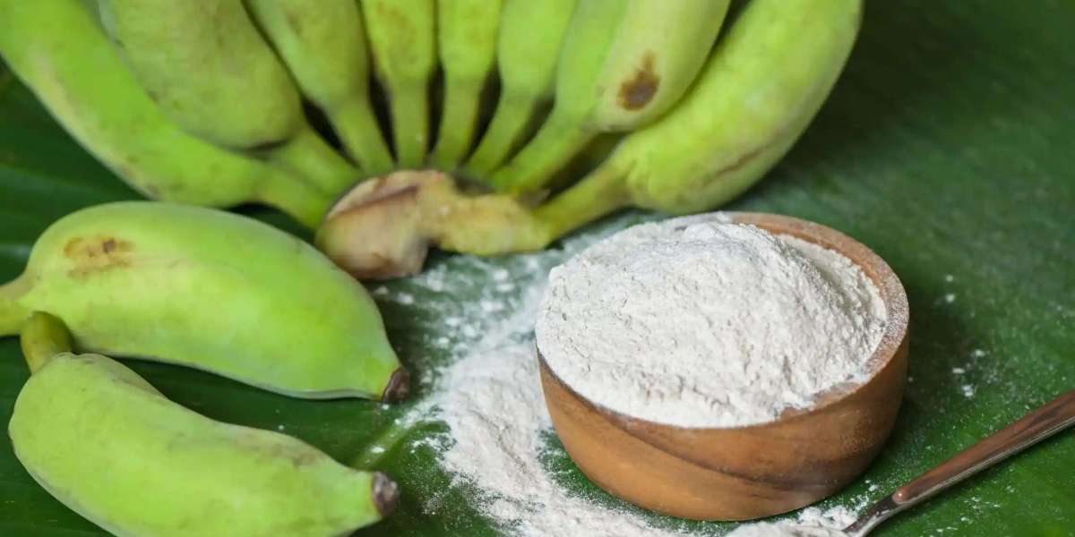 Detailed Project Report on Banana Powder Manufacturing Plant