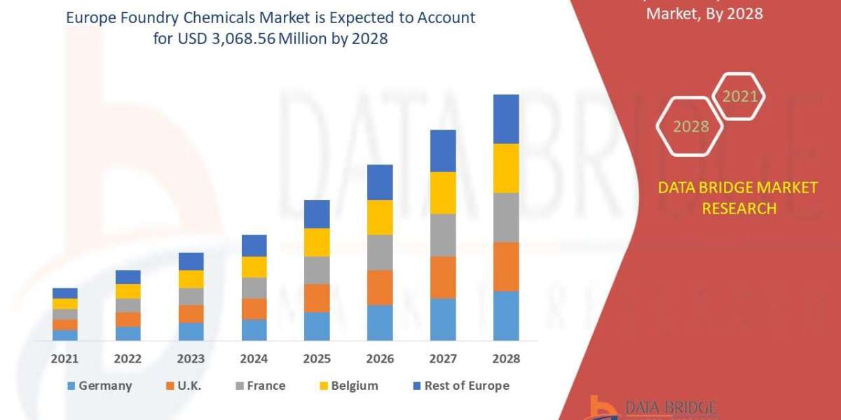 Europe Foundry Chemicals Market Size, Status and Outlook 2028