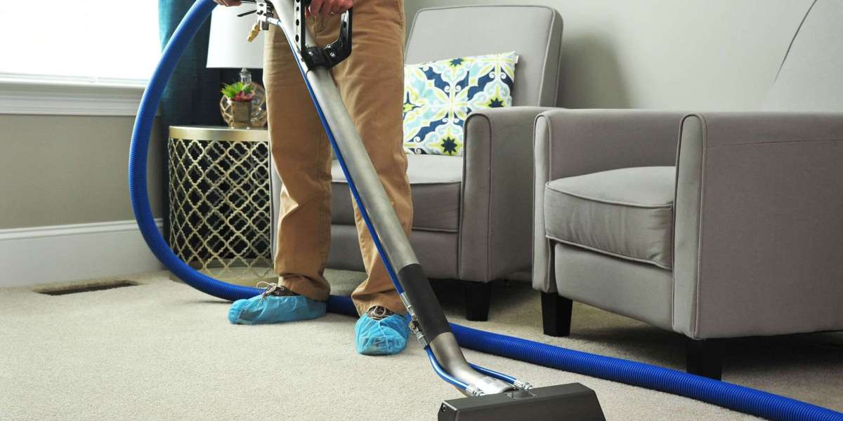 The Evolution and Importance of Carpet Cleaners in Modern Homes