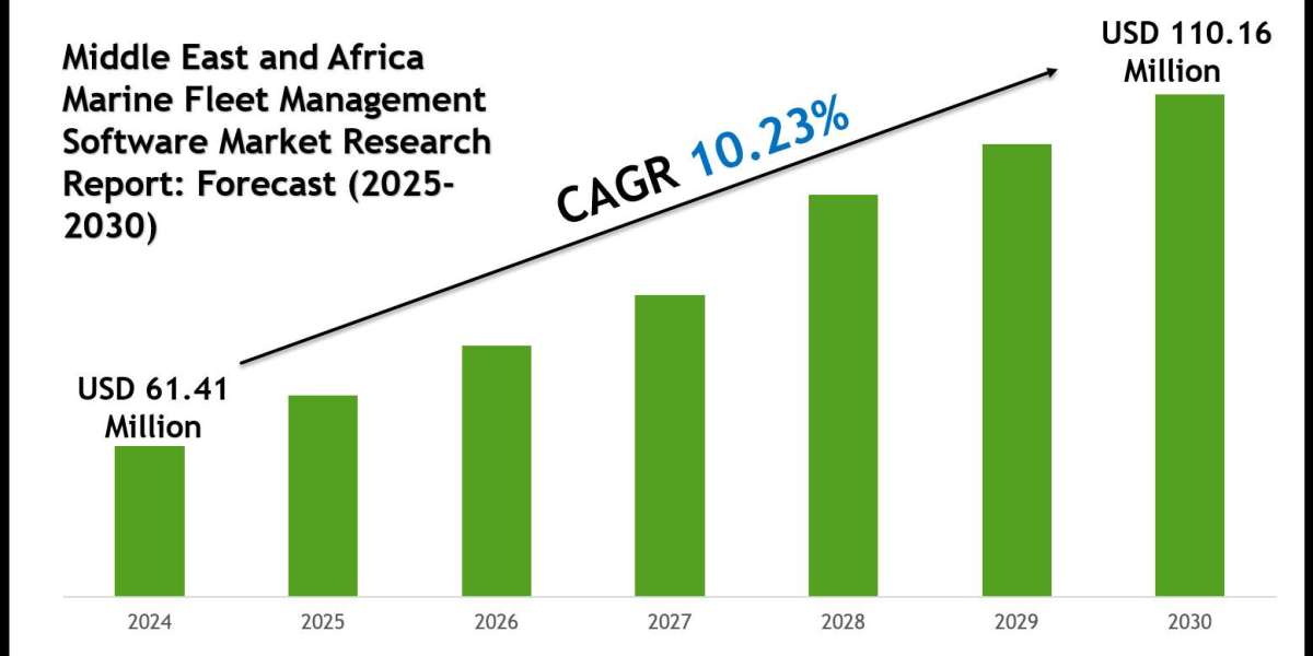 Middle East and Africa Marine Fleet Management Software Market Companies, Share and Outlook Report 2030
