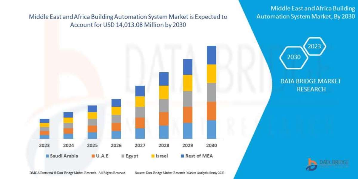 Middle East and Africa Building Automation System Market Growth and Energy Efficiency Trends