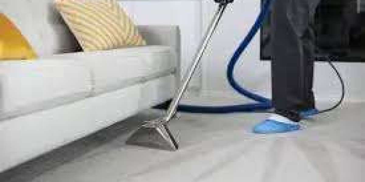 Upholstery Cleaning Naples: Expert Services for a Cleaner Home