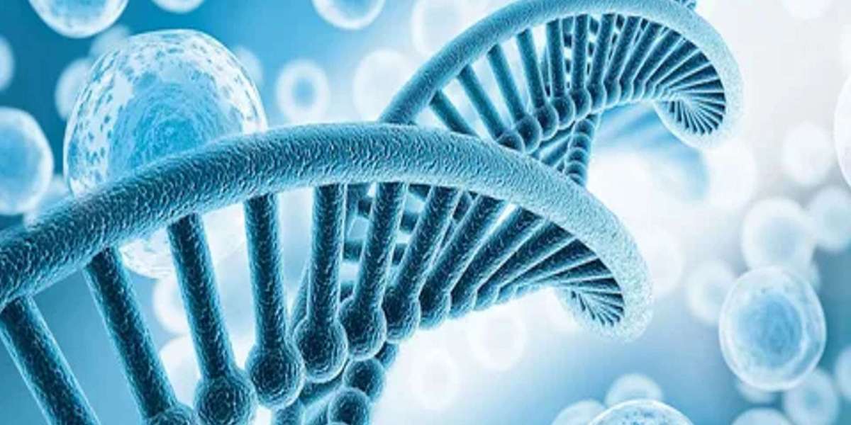 Methylergometrine Maleate Market Regional Analysis, Demand Analysis and Competitive Outlook 2025-2032