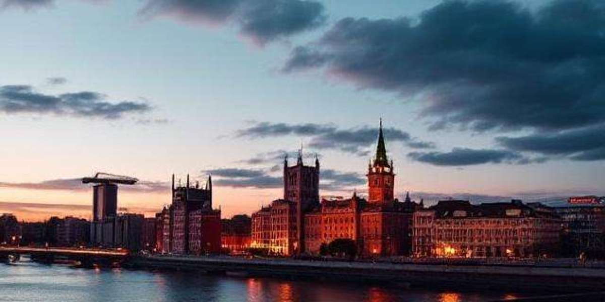 Web Design Newcastle: Trends, Services, and Local Insights